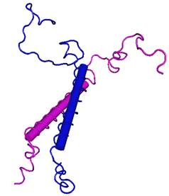 Porcine Delta Sleep Inducing Peptide Immunoreactive Peptide pDIP