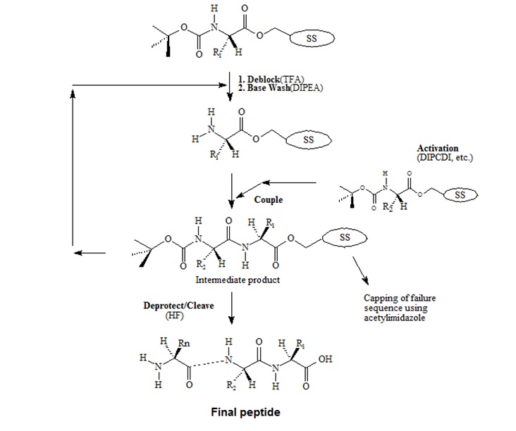 tBoc-Chemistry for Peptide Synthesis tBoc-Chemistry for Peptide Synthesis