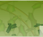 Biosyn