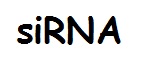 siRNA