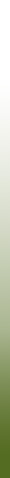 Biosyn