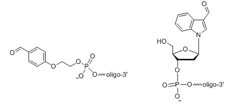 5' Aldehyde modified oligo