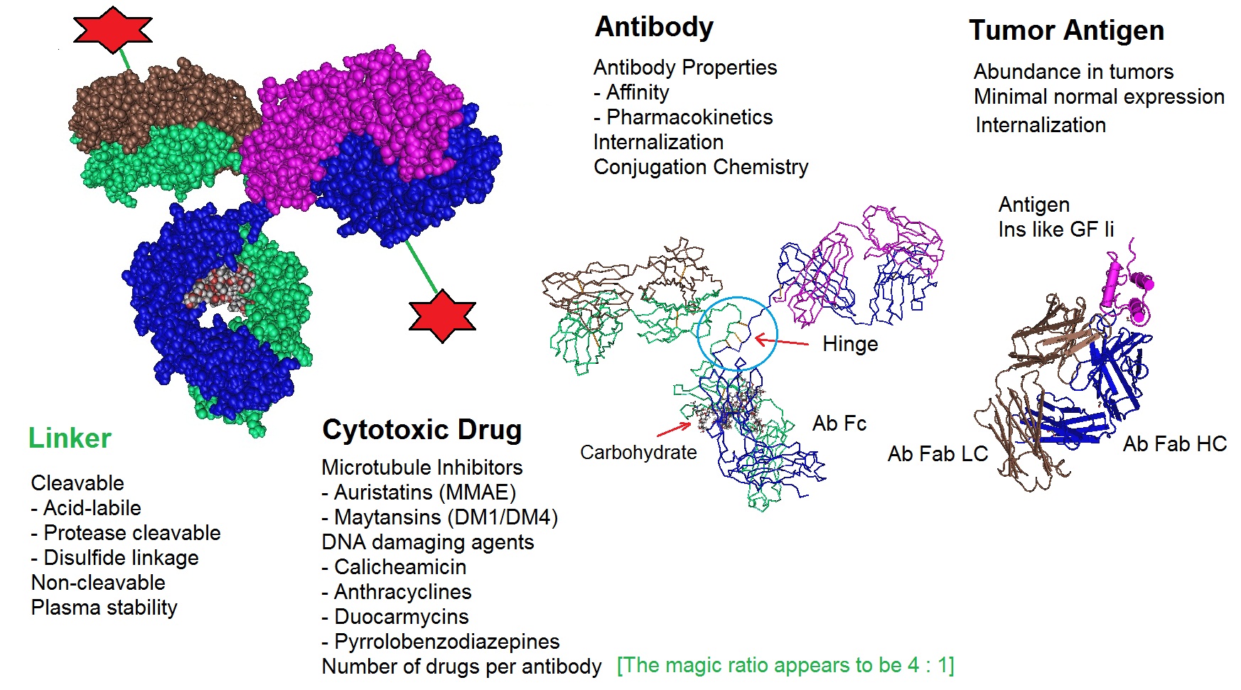 NanoHybrids - Antibody Conjugation for Gold Nanoparticles