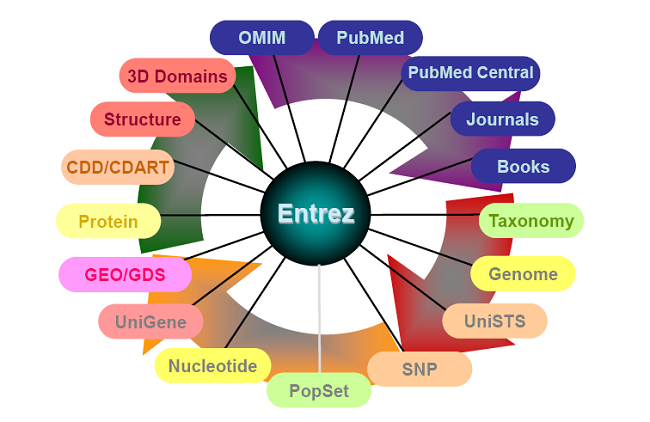 Entrez System