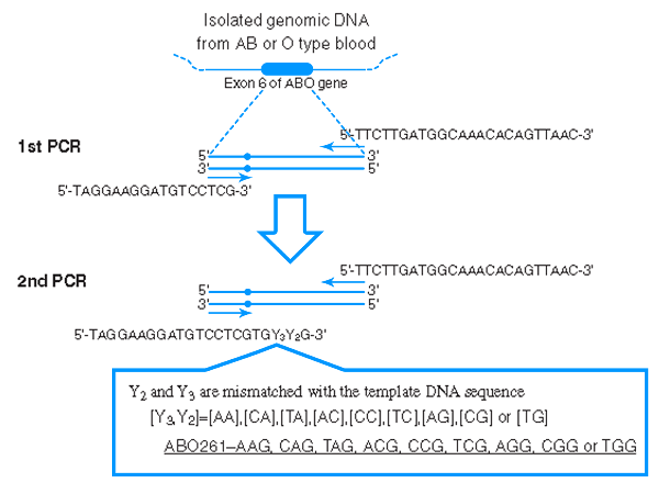 Isolated-genomic-DNA