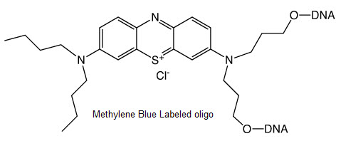 Methylene Blue Oligo