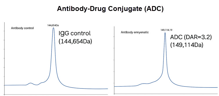 Antibody-drug conjugate LC-MS analysis comparing IgG control and ADC DAR 3.2 under Bio-Synthesis conjugation