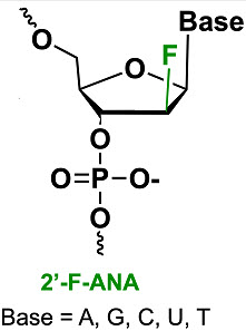 Bio-Synthesis Inc. Oligo Structure