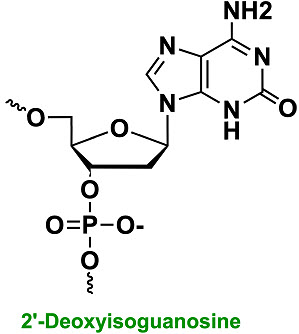 Bio-Synthesis Inc. Oligo Structure
