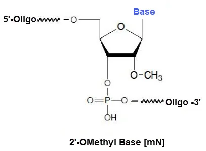 Bio-Synthesis Inc. Oligo Structure