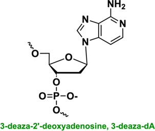 Bio-Synthesis Inc. Oligo Structure