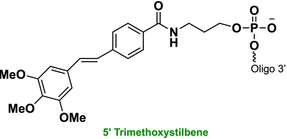Bio-Synthesis Inc. Oligo Structure