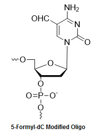 5-Formyl-2'-deoxycytidine Oligonucleotide Modification