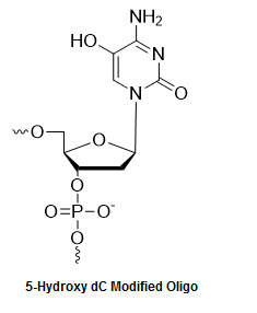 5-Hydroxy-2'-deoxycytidine Oligonucleotide Modification