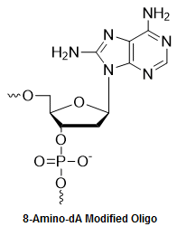 Bio-Synthesis Inc. Oligo Structure