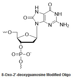 8-Oxo-2'-deoxyguanosine Oligonucleotide Modification