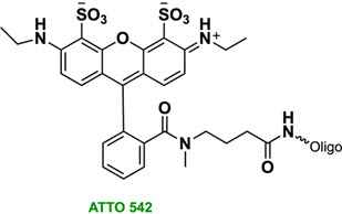 Bio-Synthesis Inc. Oligo Structure