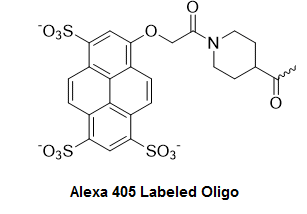 lide Hop ind pant Alexa 405 Oligo Labeling