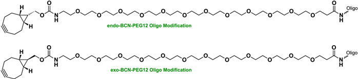 Bio-Synthesis Inc. Oligo Structure