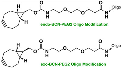 Bio-Synthesis Inc. Oligo Structure