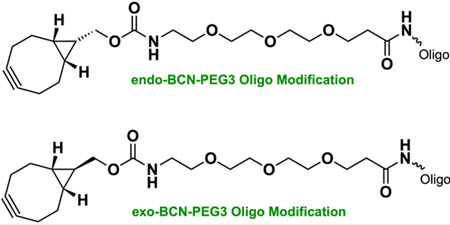 Bio-Synthesis Inc. Oligo Structure