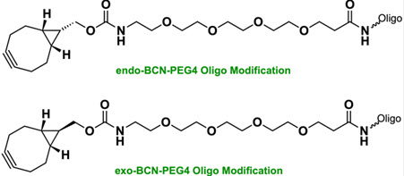 Bio-Synthesis Inc. Oligo Structure