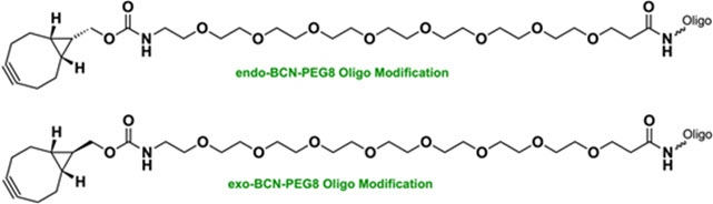 Bio-Synthesis Inc. Oligo Structure