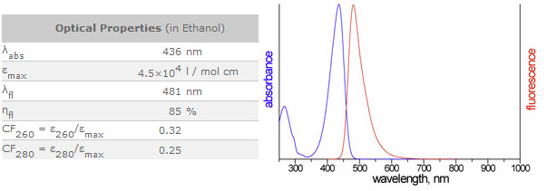 Bio-Synthesis Inc. Oligo Structure