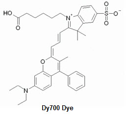 Bio-Synthesis Inc. Oligo Structure