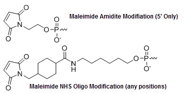 Bio-Synthesis Inc. Oligo Structure