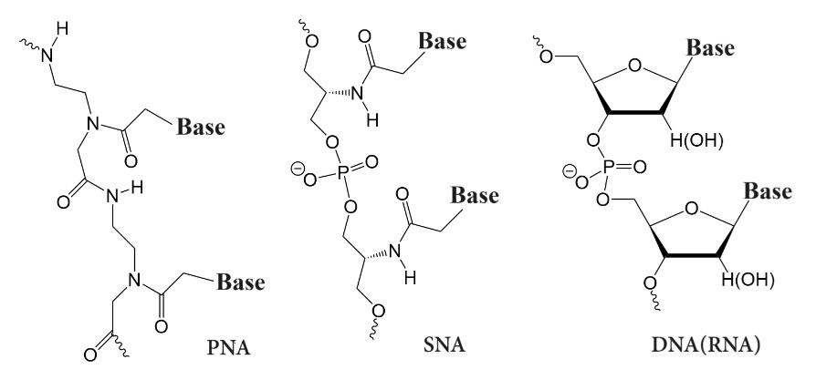 Bio-Synthesis Inc. Oligo Structure