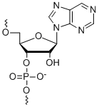 Bio-Synthesis Inc. Oligo Structure