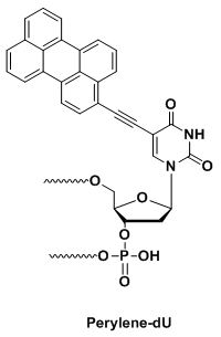 Bio-Synthesis Inc. Oligo Structure