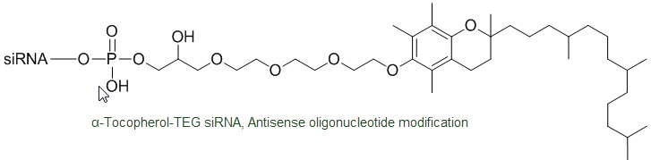 Bio-Synthesis Inc. Oligo Structure