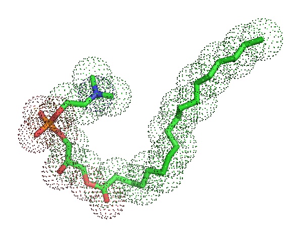 1-Stearoyl-sn-glycero-3-phosphocholine