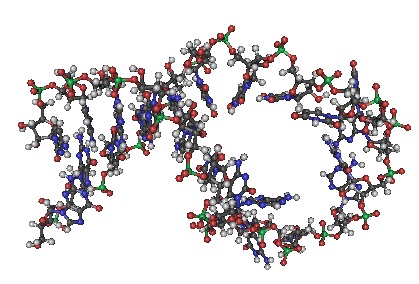 2N82-RNA