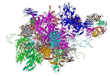 5LQW Yeast activated spliceosome