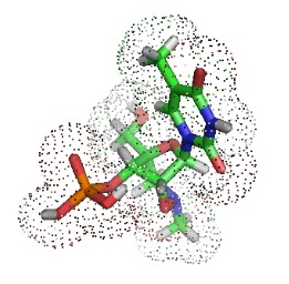 BNA-model