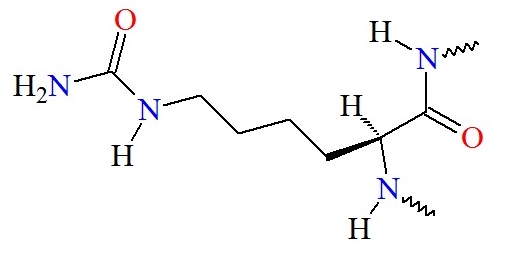 Homocitrulline