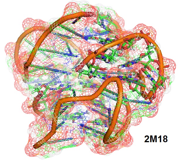 TERRA-Quadruplex-2M18