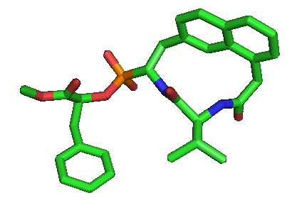 Cyclic peptides