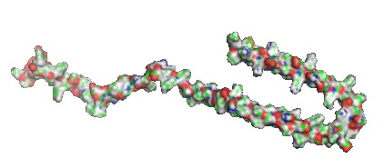 Crispr Cas