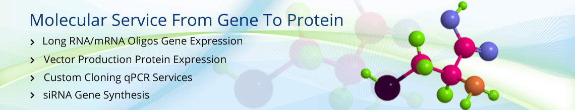 Custom Peptide Synthesis Services