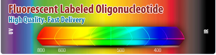 Fluorescent Labeled Oligos