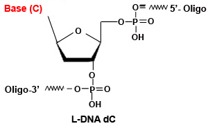 L-DNA dC Modfication