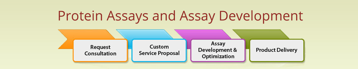 Protein Assays and Assay Development