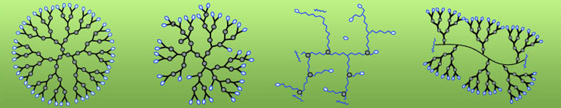 Dendritic Bioconjugation