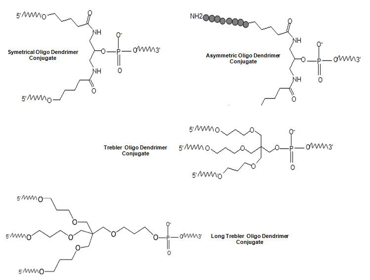 Dendrimer-oligonucleotide conjugation