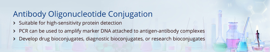 Antibody Oligonucleotide Conjugation