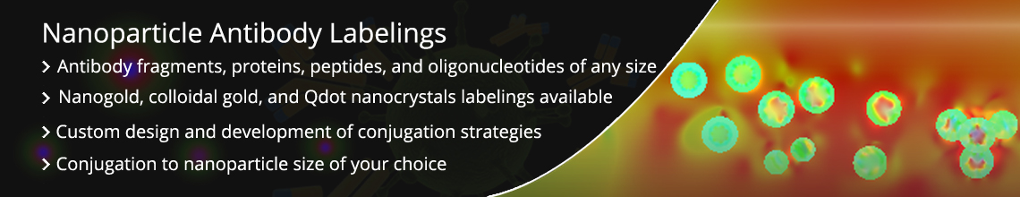Nanoparticle Antibody Labeling